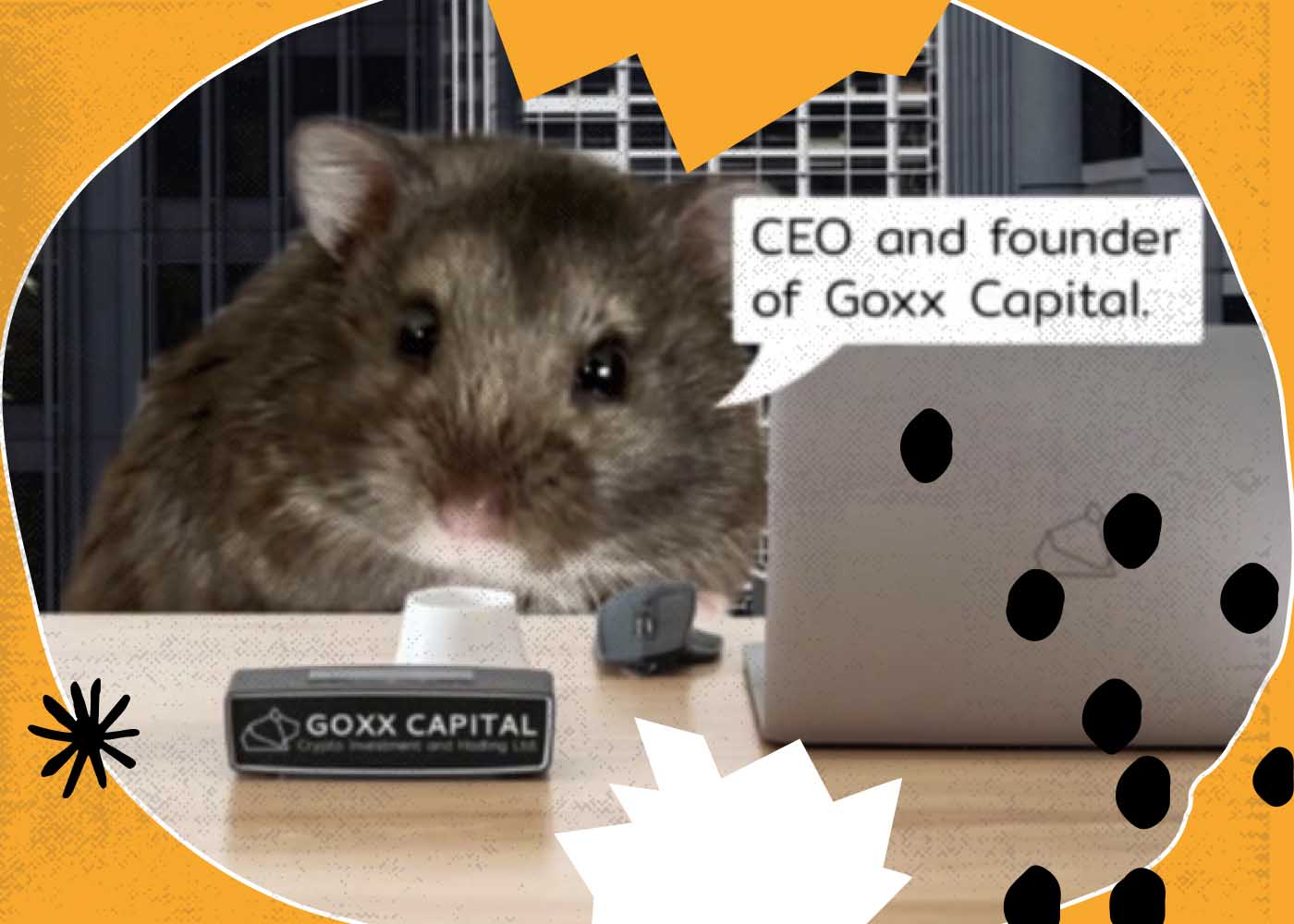 Crypto Investor Mr. Goxx