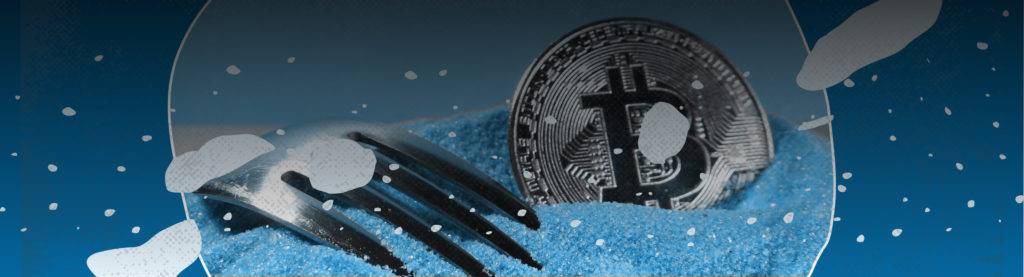 Lo que es importante saber sobre los forks de Bitcoin