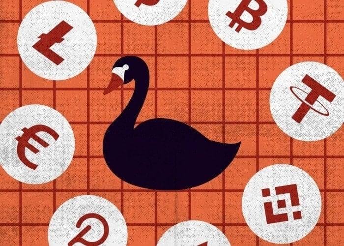 The Black Swan Risk in Crypto and Beyond CoinsPaid Media