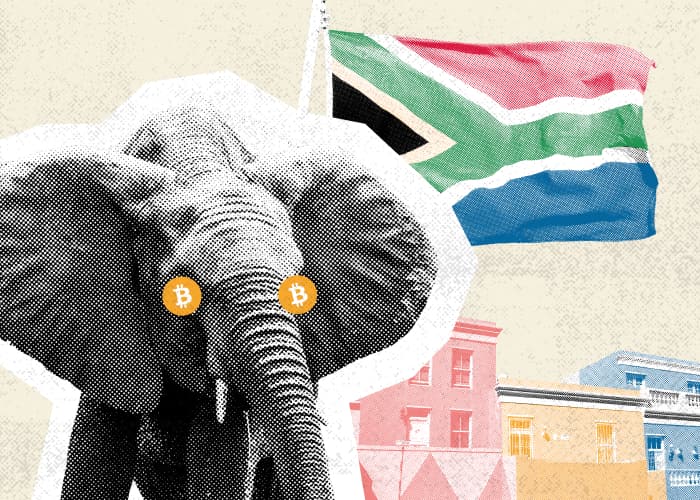 Южная Африка планирует регулировать криптовалюты как финансовые активы