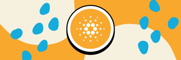 TOP 5 Altcoins to Buy in Summer 2022