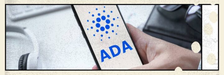 Планы Cardano на 2022 год: этап «Басё»