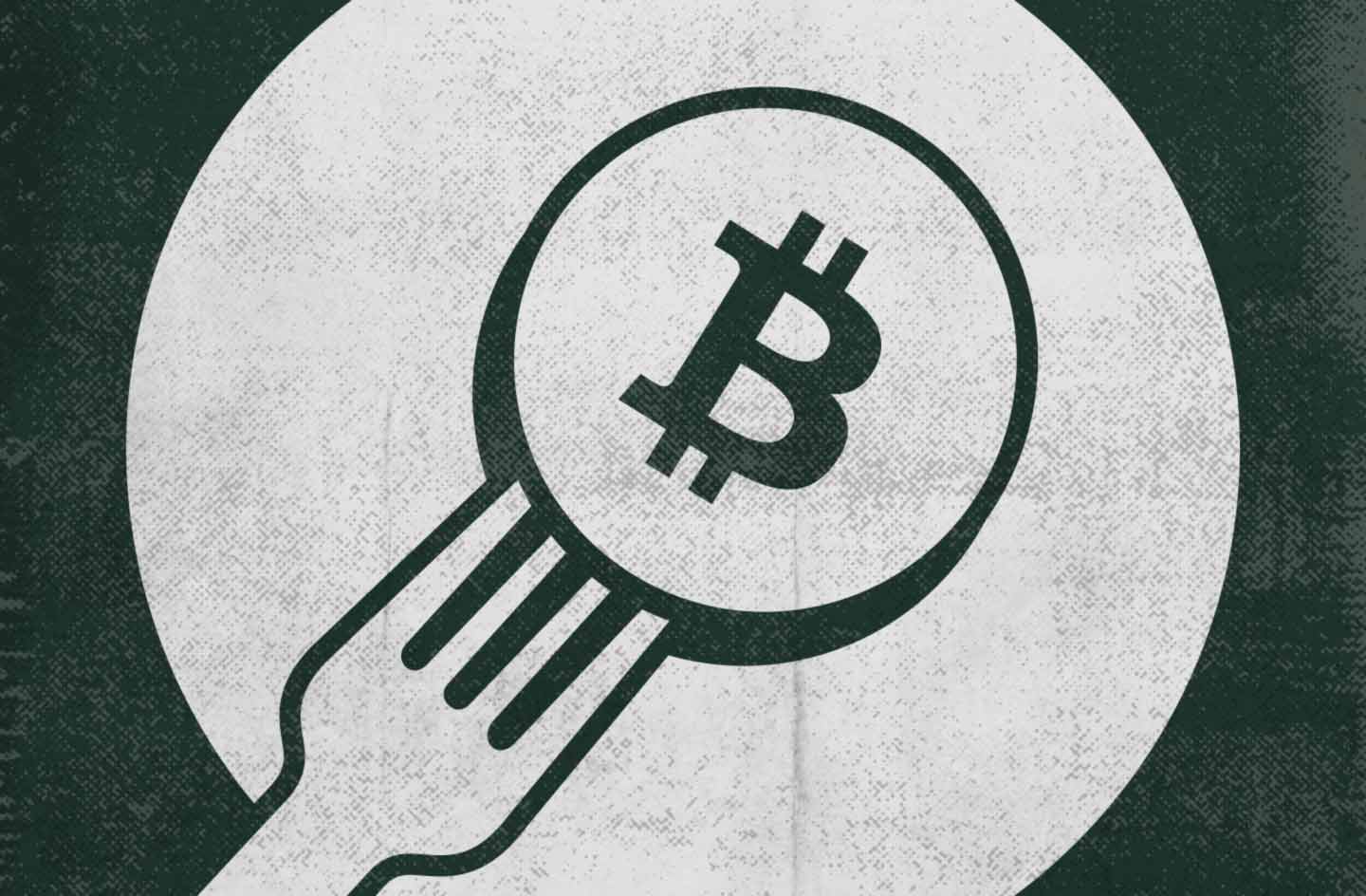 The Concept of a Fork in the Context of Cryptocurrencies