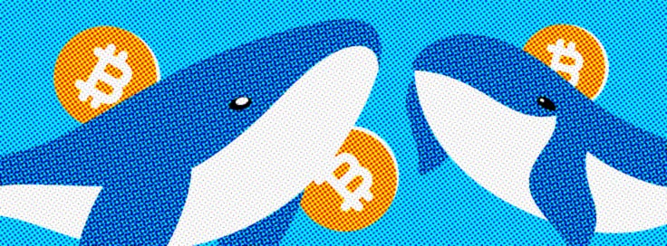 Bitcoin Whales and Other Dwellers of the Crypto World