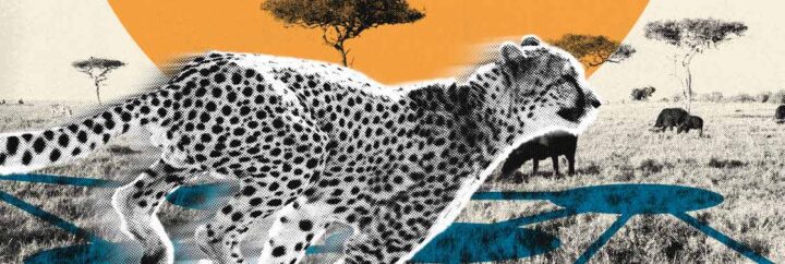 Las tecnologías DLT y las CBDC pueden permitir una rápida liquidación de valores