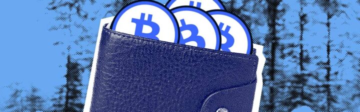 Los freelancers cuentan lo que saben sobre criptomonedas y pagos