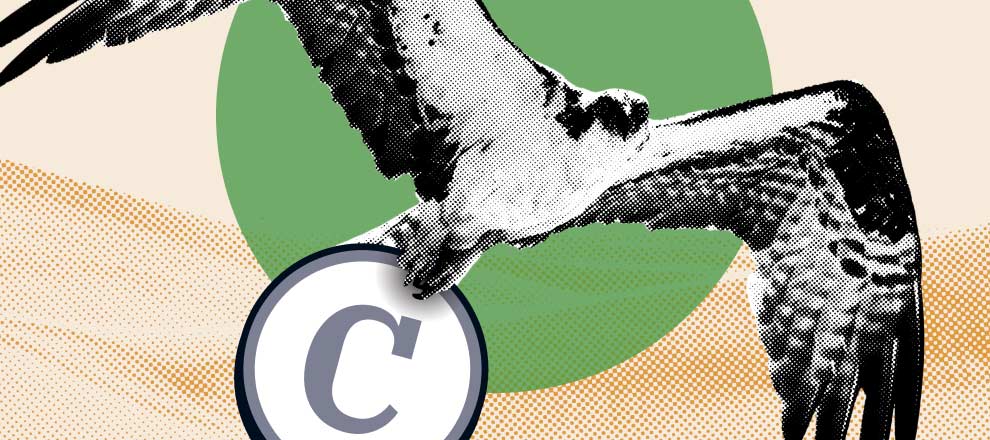 DLT Platform for Carbon Credit Trading Created in UAE