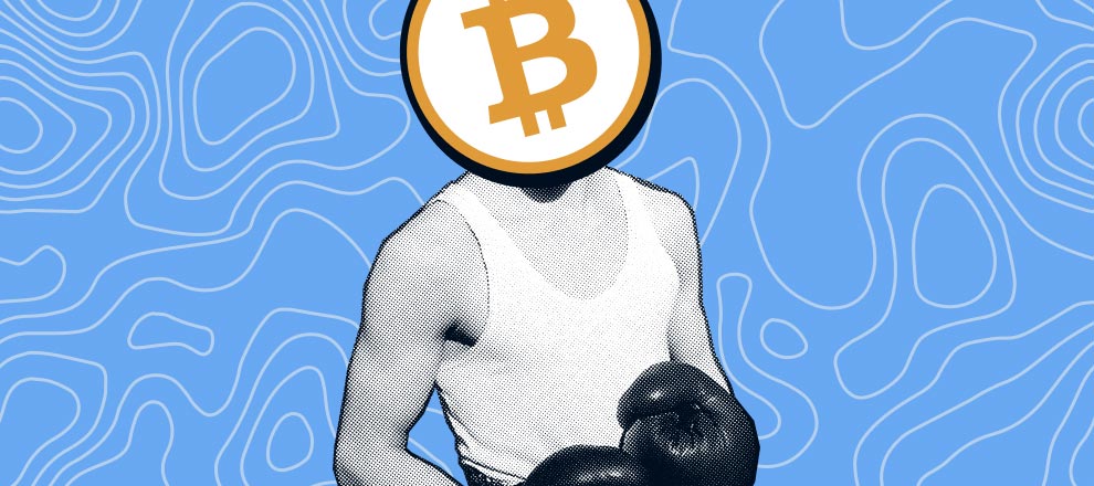 Bitcoin Domination Grows Due to BRC-20 Tokens