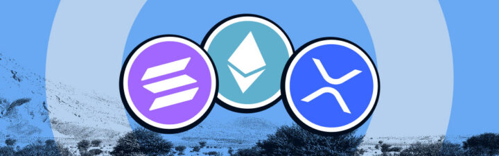 Promising Cryptocurrencies of 2024