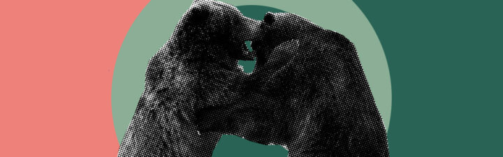 Какие аргументы используют стороны в публичной дискуссии относительно цифрового доллара?