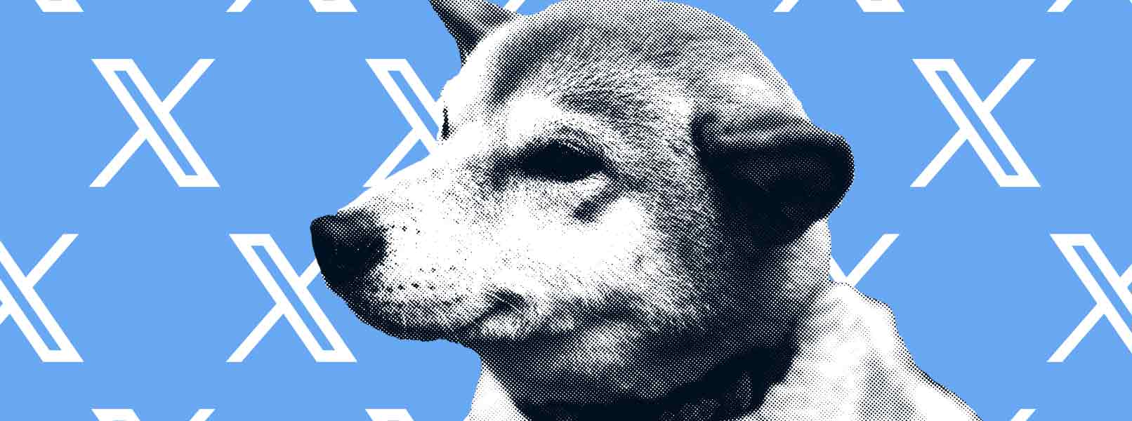 Dogecoin принят в качестве официальной внутренней валюты Twitter
