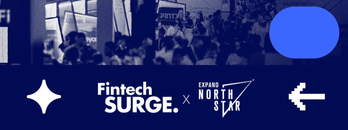 Fintech Surge 2024