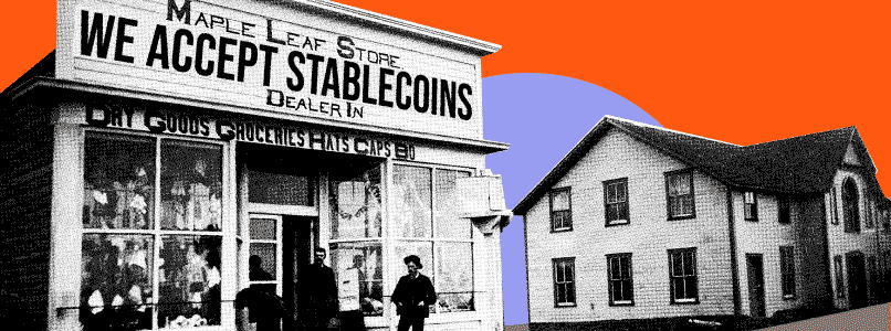 Stablecoins are Popular in Developing Countries for Payments and Transfers