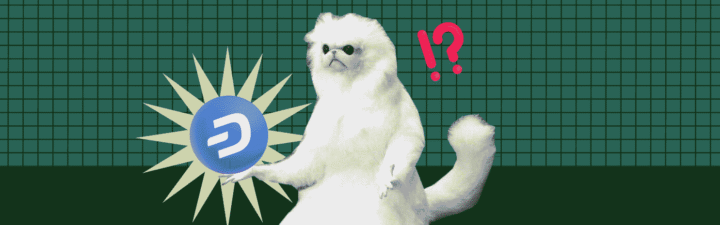 What Is Dash, and What Does It Have to Do with Your Grandma?