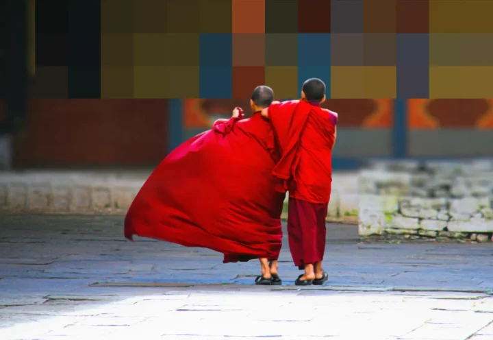 Власти Бутана запустят узел-валидатор в блокчейн-сети Sei